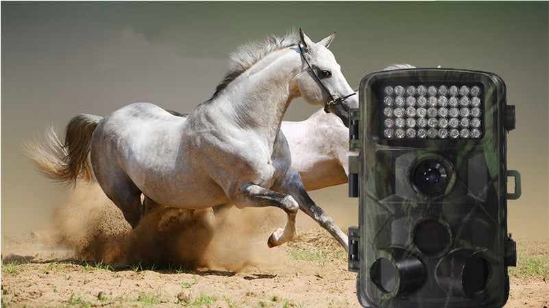 HD Wildlife Cam – For Hunting, Scouting & Nature Monitoring