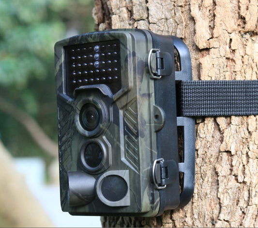 HD Wildlife Cam – For Hunting, Scouting & Nature Monitoring